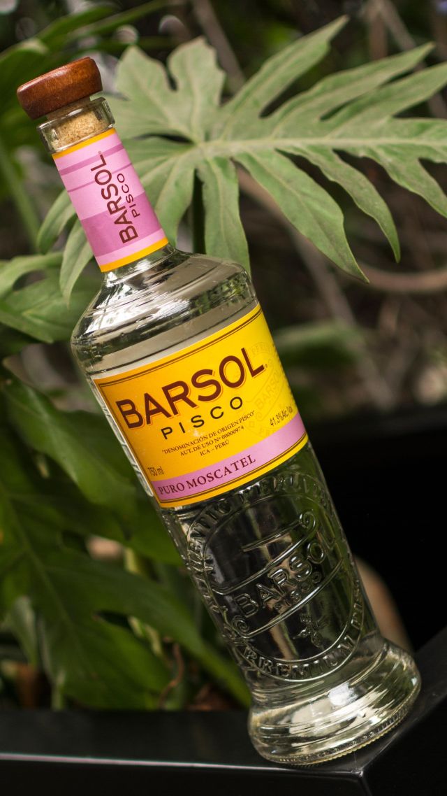 Barsol Pisco | To Every Bar in the World From the Sol of Ica, Perú | Weinbrände